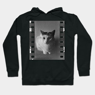 Analog Cat Hoodie